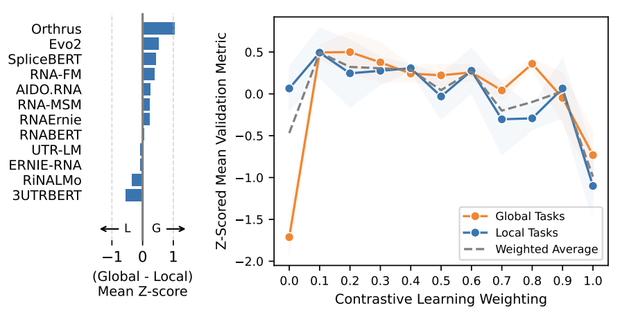 Global task performance bias and contrastive objective weight