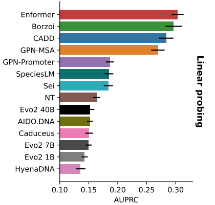 TraitGym Figure 5: AUPRC performance comparison across model types for variant effect prediction