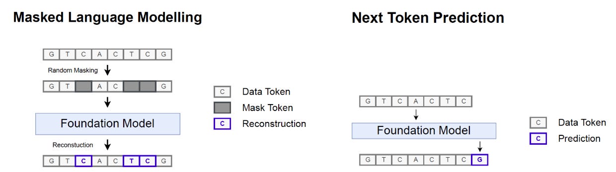 Diagram showing common self-supervised pre-training strategies for sequence models