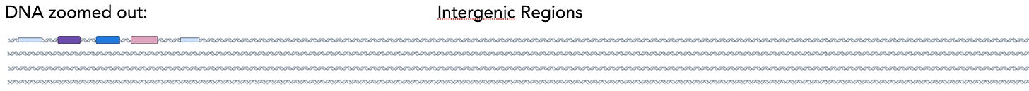 Extended schematic illustrating the sparse signal problem with introns separated by intergenic regions